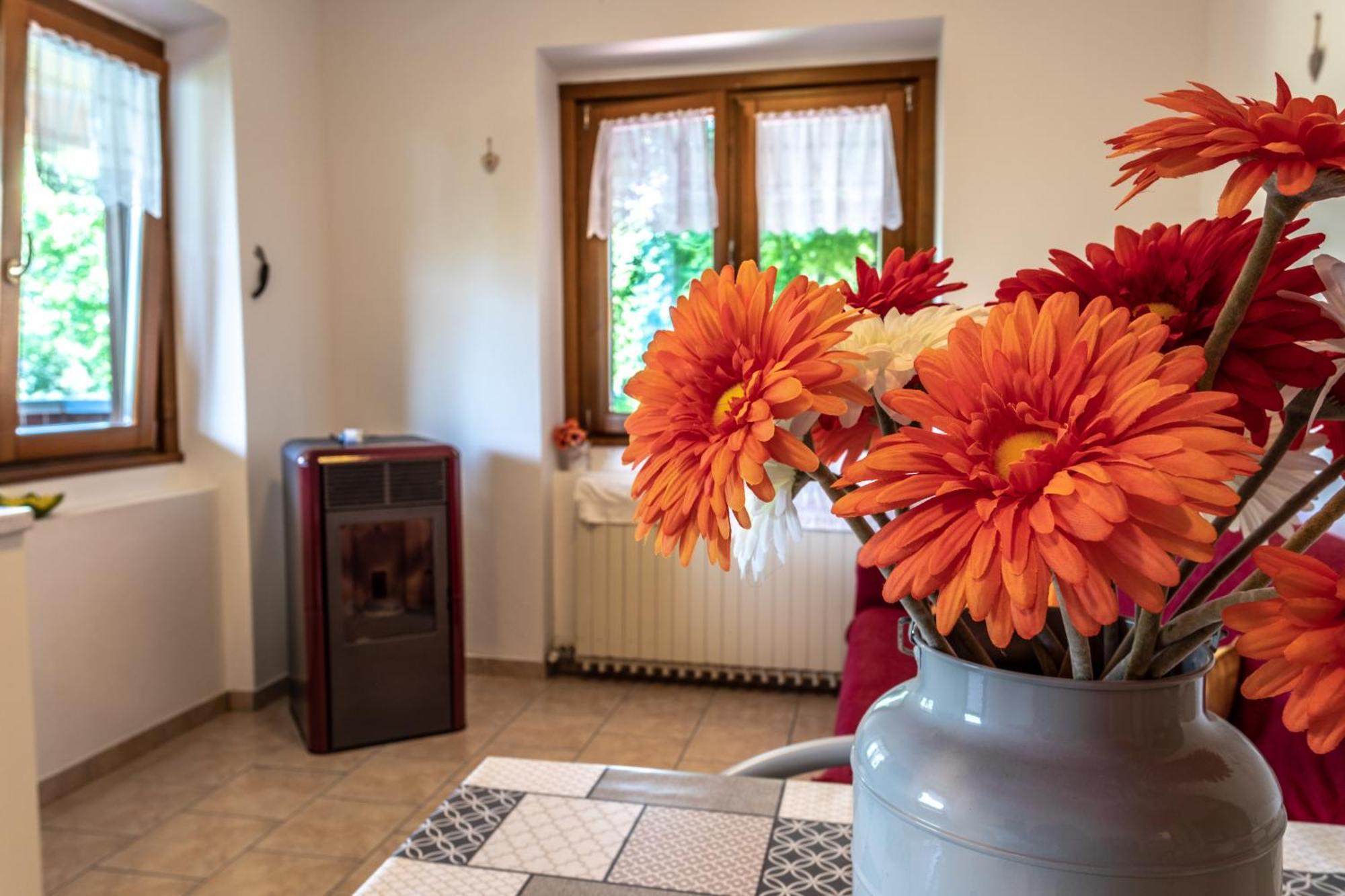 Le Terrazze Sul Lago - Ledro House ピエーヴェ・ディ・レードロ 部屋 写真